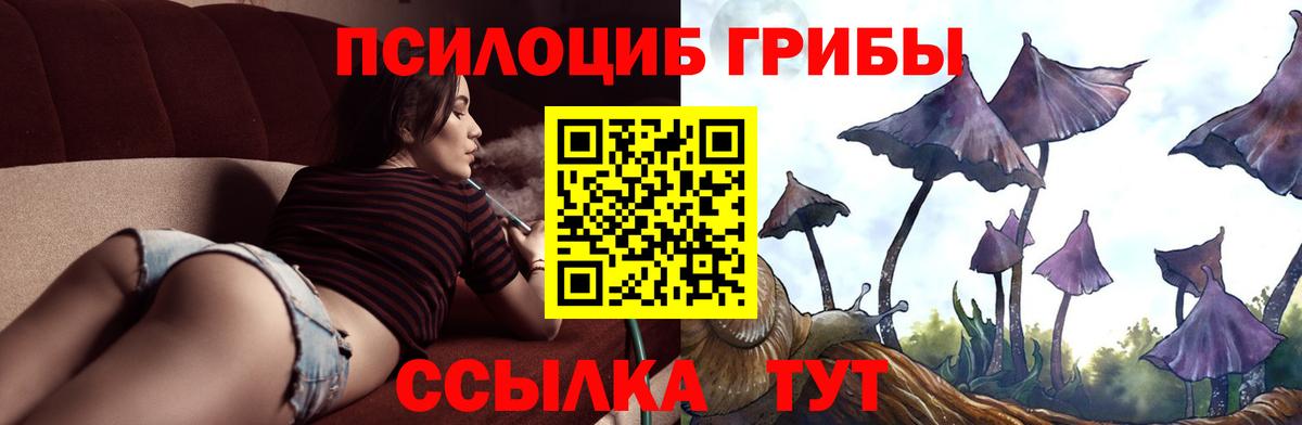 Валуйки  Псилоцибиновые грибы ЛСД  Псилоцибиновые грибы Psilocybine cubensis  Вход с VPN 